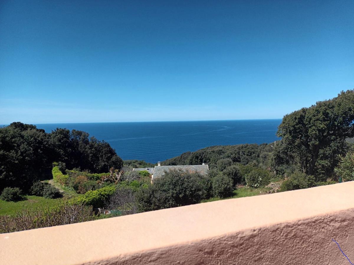 Azureo - Terrasse Du Golfe Βίλα Morsiglia Εξωτερικό φωτογραφία
